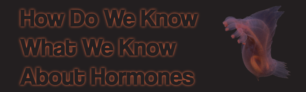 The question how do we know what we know about hormones and a sea cucumber to the right of it